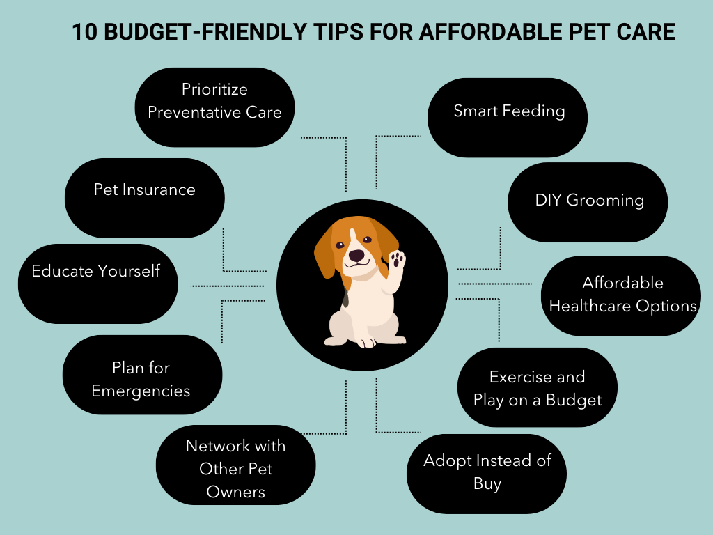 Dog Care Tips for Beginners.