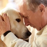 5 Signs and Symptoms That Your Dog Is Nearing Death You Should Know